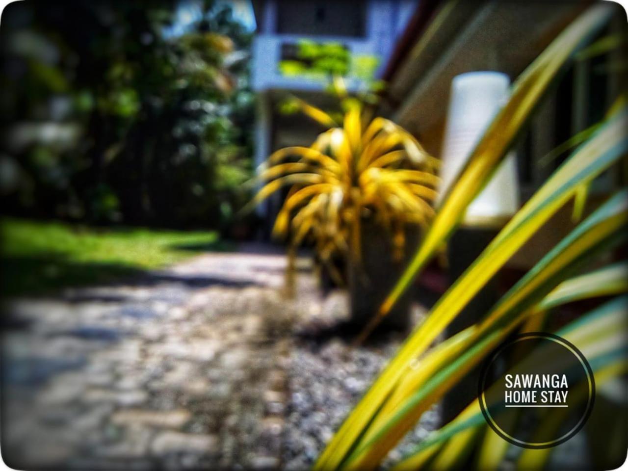 Sawanga Home Stay Weligama Kültér fotó